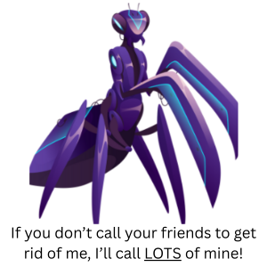 A pic of a bug with LOTS of legs!!