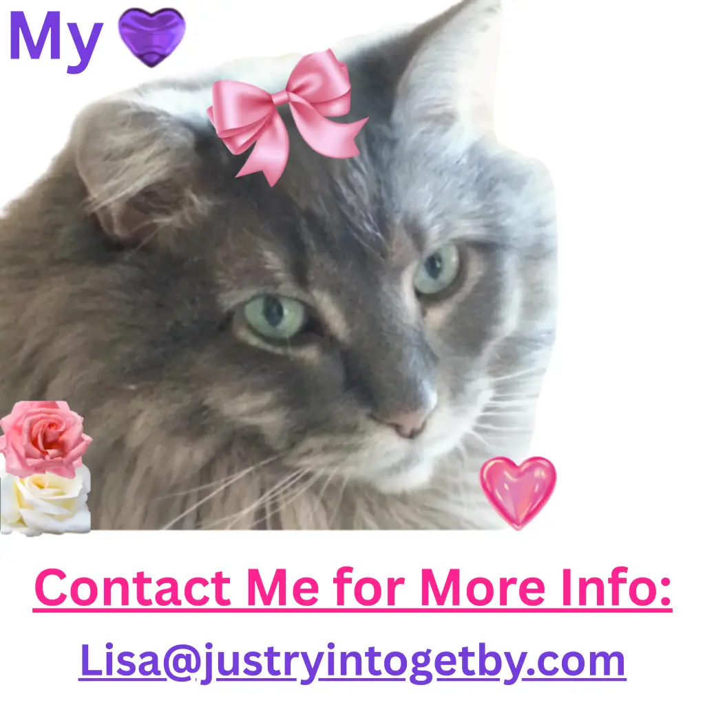 Pic of a gray cat with a bow in her fur, and hearts and flowers, and underneath are the words contact me for more info: Lisa@justryintogetby.com