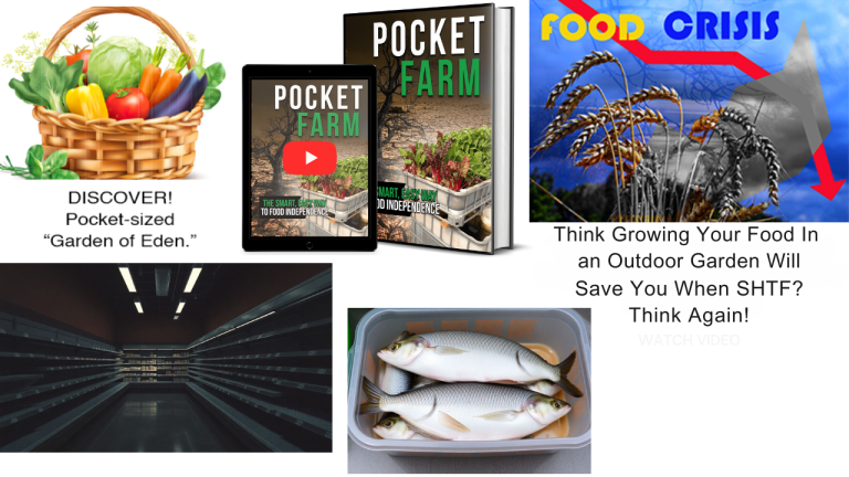 Different pics of vegetables and fish and the cover of something called the "Pocket Garden"